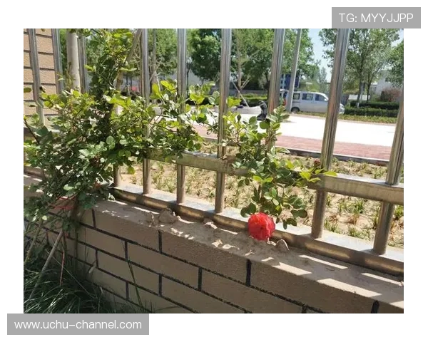 开云最新官方新品上市时间表,掌握第一手潮流资讯与购买渠道