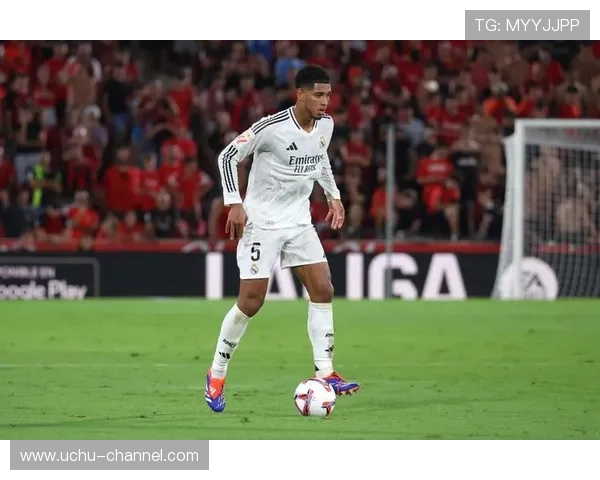 开云体育娱乐官网皇马赞助商合作背景及未来发展趋势深度分析