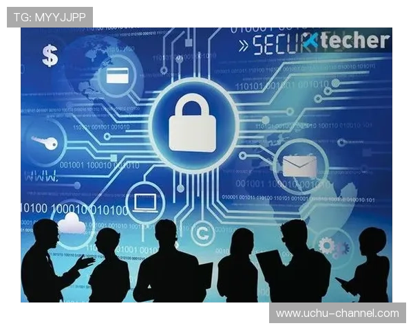 开云平台登录入口安全性分析及保护措施，保障用户账号信息安全