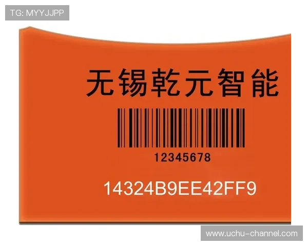 开云旗舰厅登录线路安全保障措施详解保障玩家账号安全与隐私